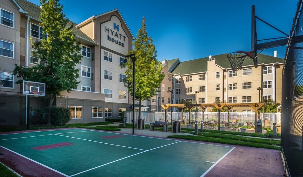 Basketball Court