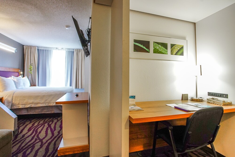 Guestroom View