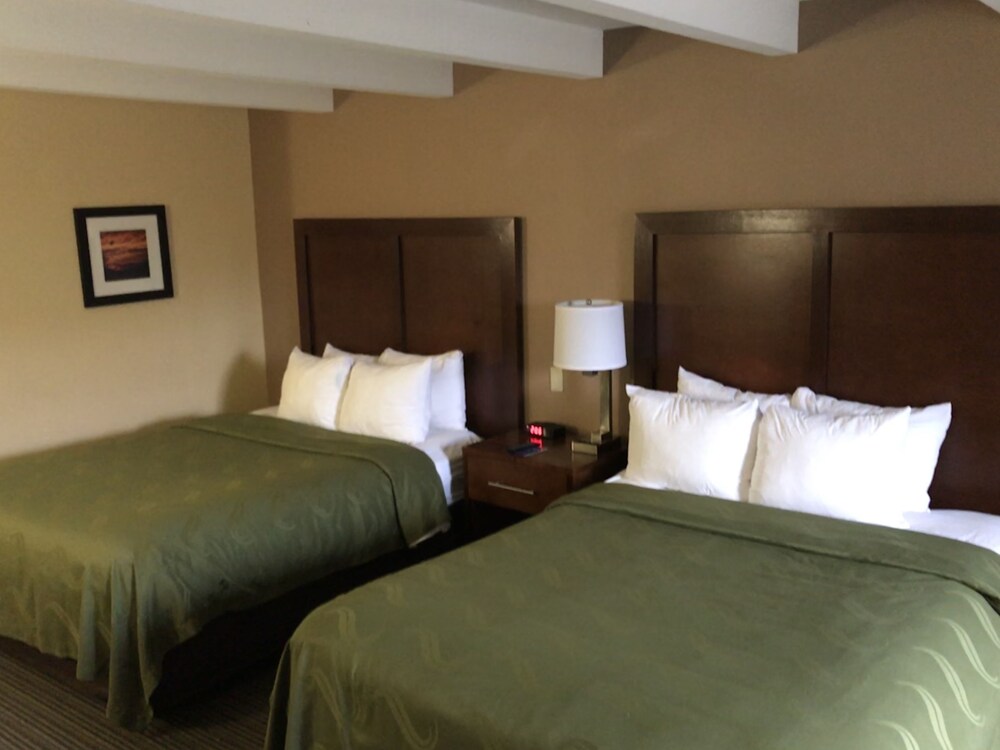 Guestroom View