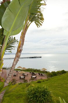 Beach/Ocean View