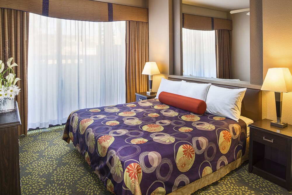 Deluxe Suite, 1 Bedroom - Guestroom