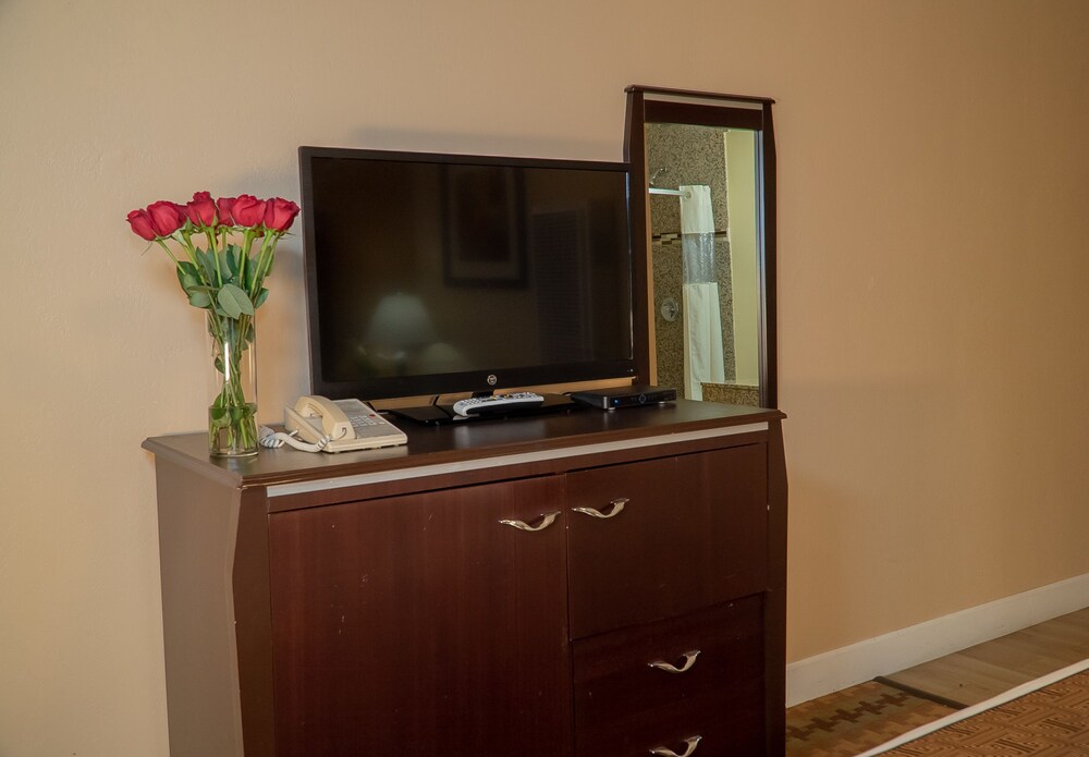 Television