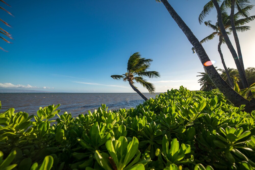 Beach/Ocean View