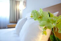 Standard Room, 2 Double Beds