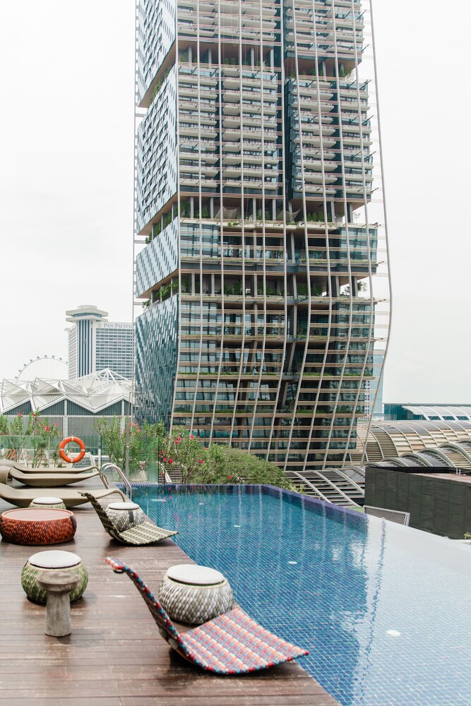 Rooftop Pool