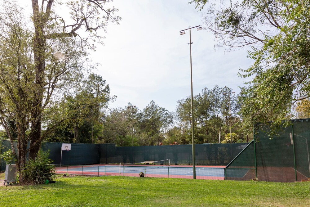 Basketball Court