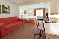 Standard Room, 1 King Bed with Sofa bed