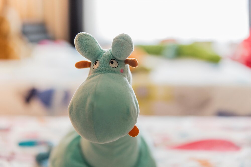 Childrens Theme Room