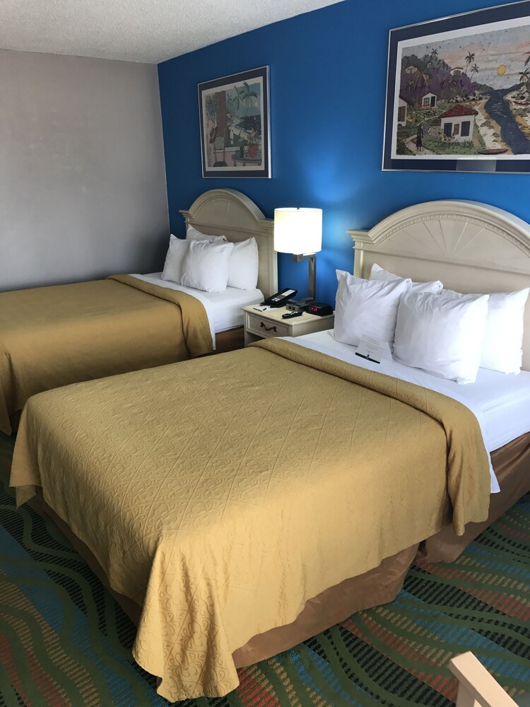 Guestroom View