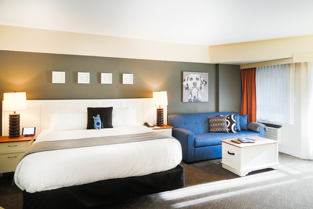 Executive Room, 1 King Bed with Sofa bed - Guestroom