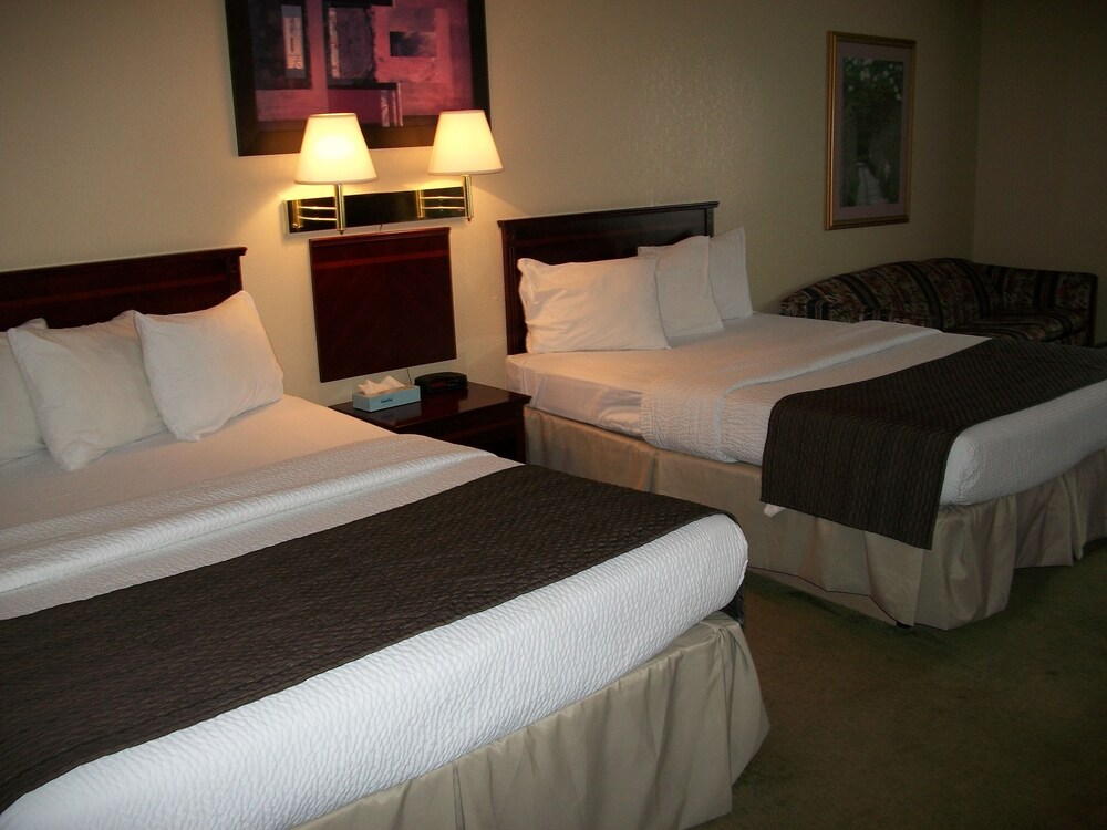 Guestroom View