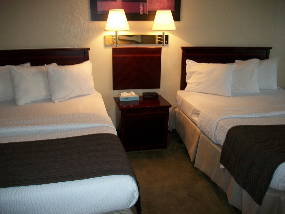 Guestroom View