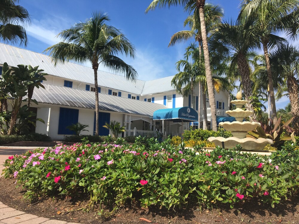 Courtyard View