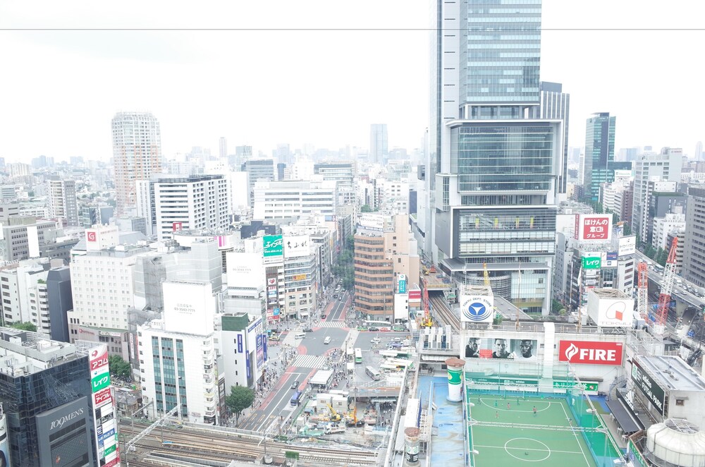 시내 전망