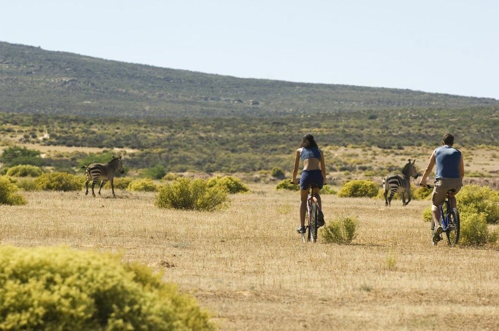 Bicycling