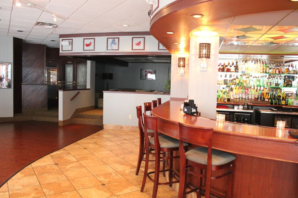 Hotel Bar
