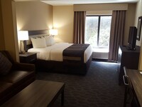 Standard Room, 1 King Bed, Refrigerator & Microwave