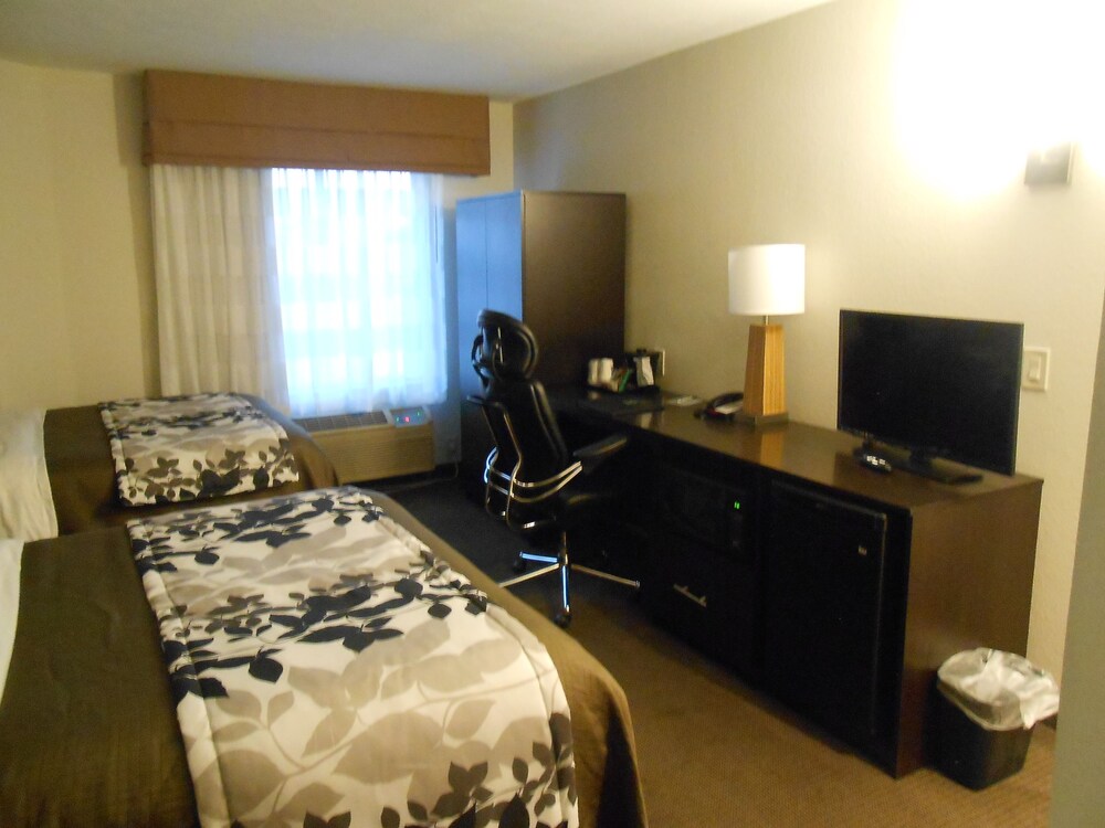 Guestroom View