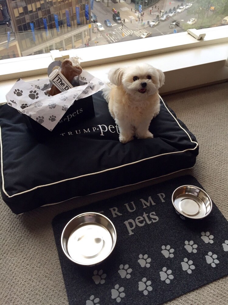 Pet-Friendly