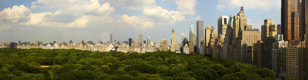 City View