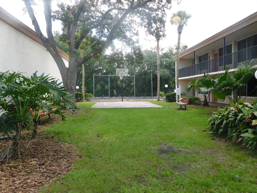 Basketball Court