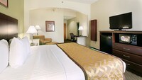 Executive Room, 1 King Bed, Non Smoking, Refrigerator & Microwave