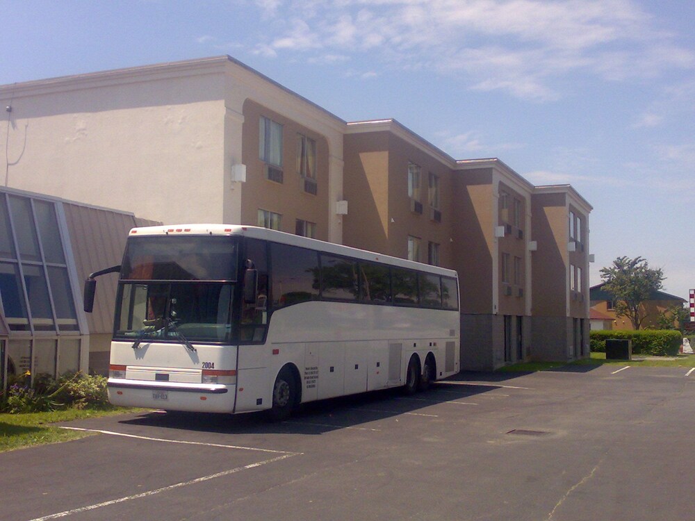 Airport Shuttle