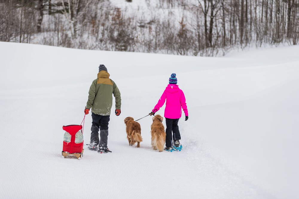 Snowshoeing