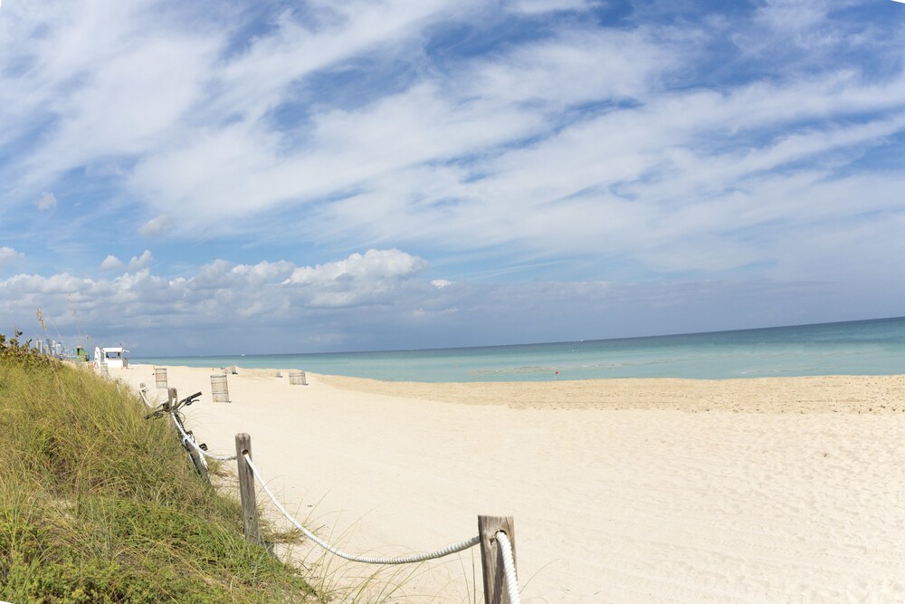 Beach/Ocean View