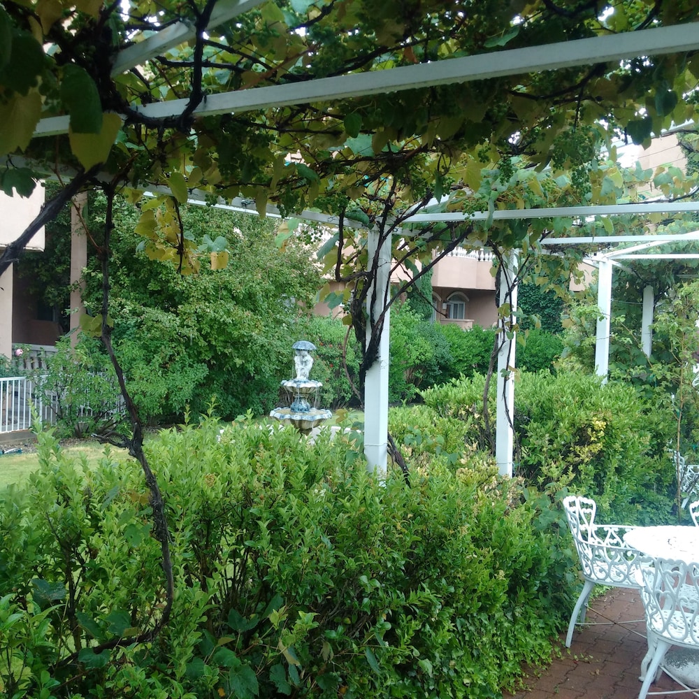 Outdoor Wedding Area
