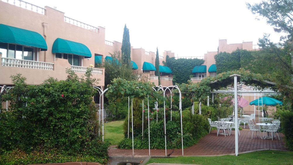 Outdoor Wedding Area