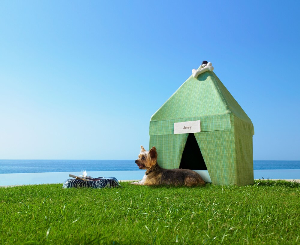 Pet-Friendly