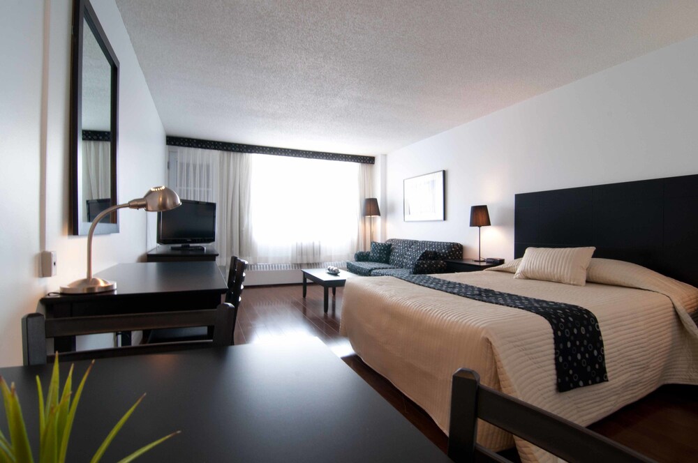 Studio, Queen Bed, Wooden Floor - Guestroom