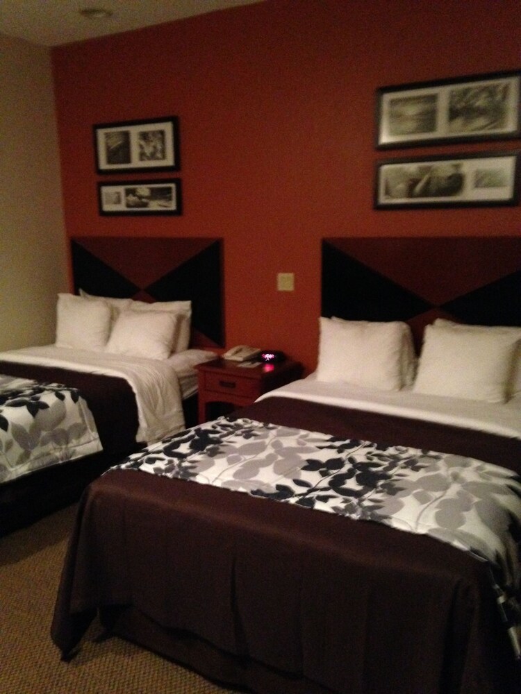 Guestroom View