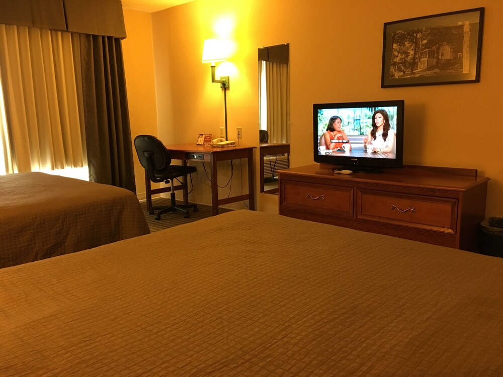 In-Room Amenity