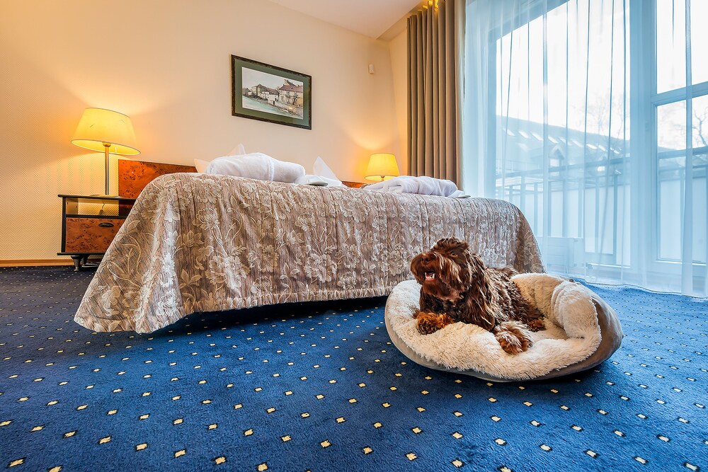 Guestroom