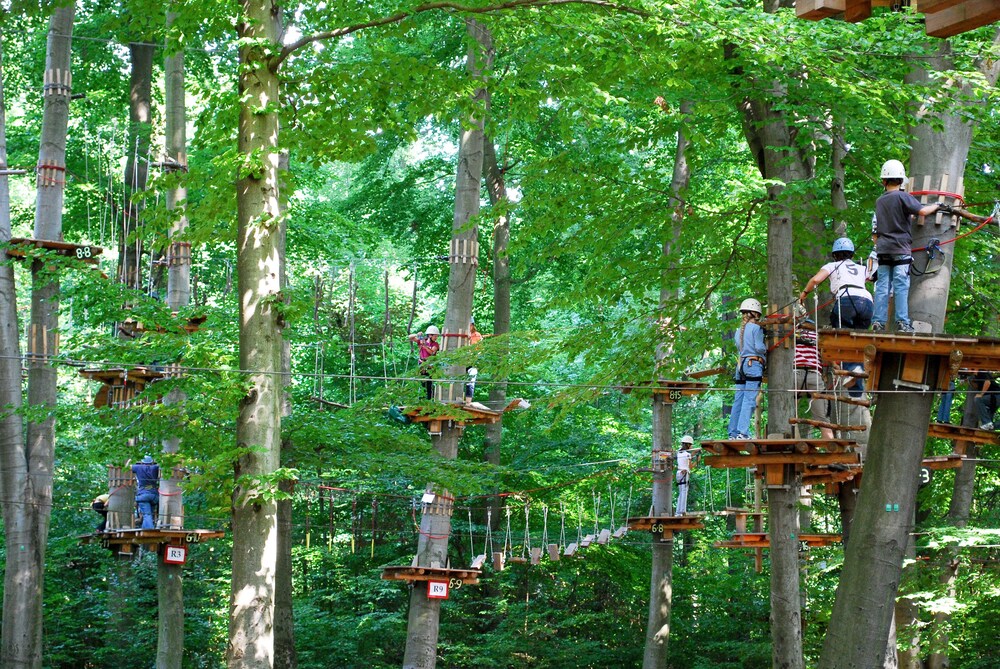 Ropes Course (Team Building)