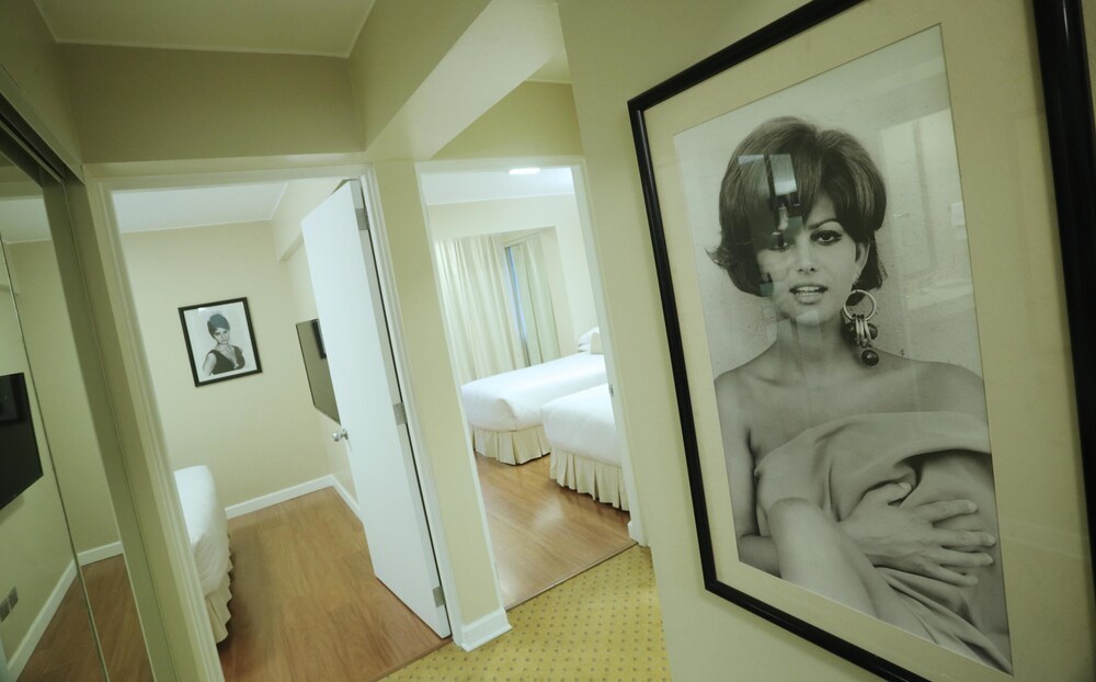 Senior Suite - Guestroom