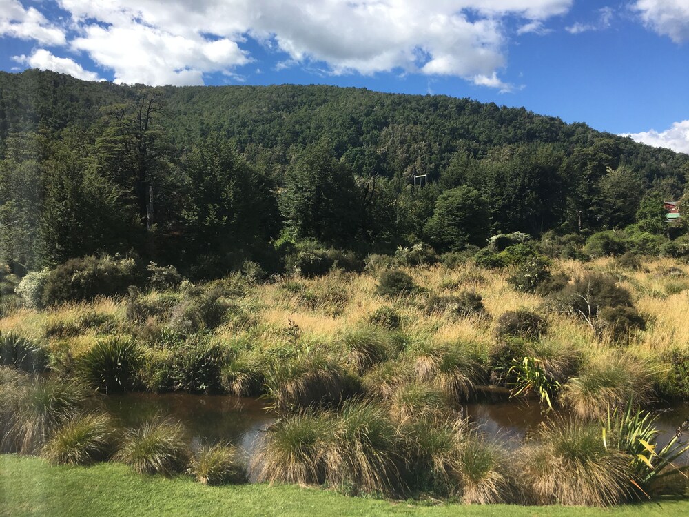 Guestroom View