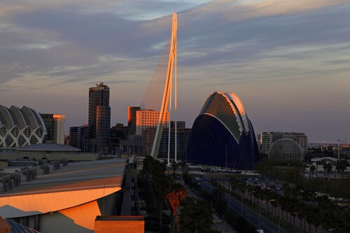 Holiday Inn Express Valencia Ciudad de las Ciencias, an IHG Hotel