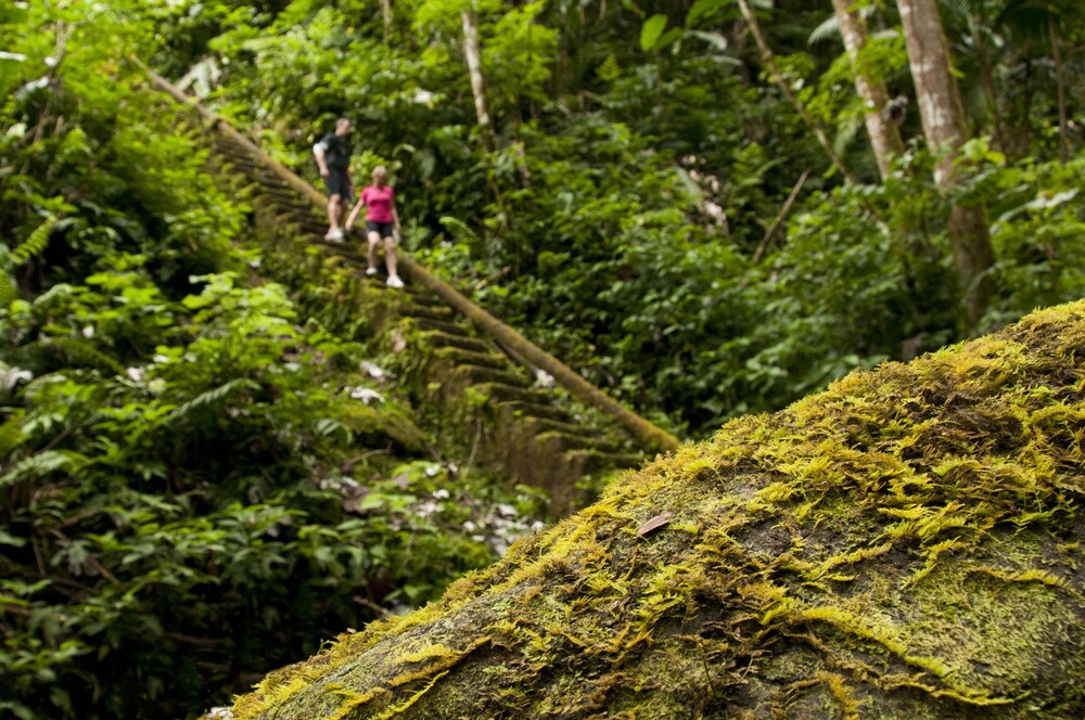 Hiking
