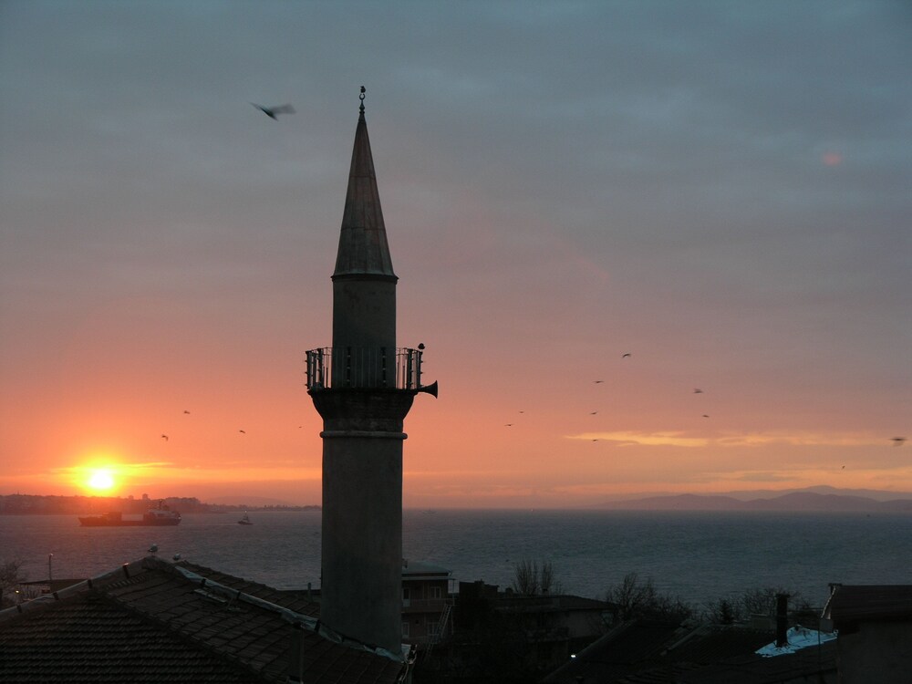 City View