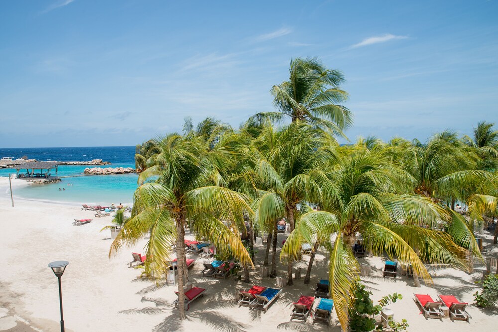 View from property, LionsDive Beach Resort