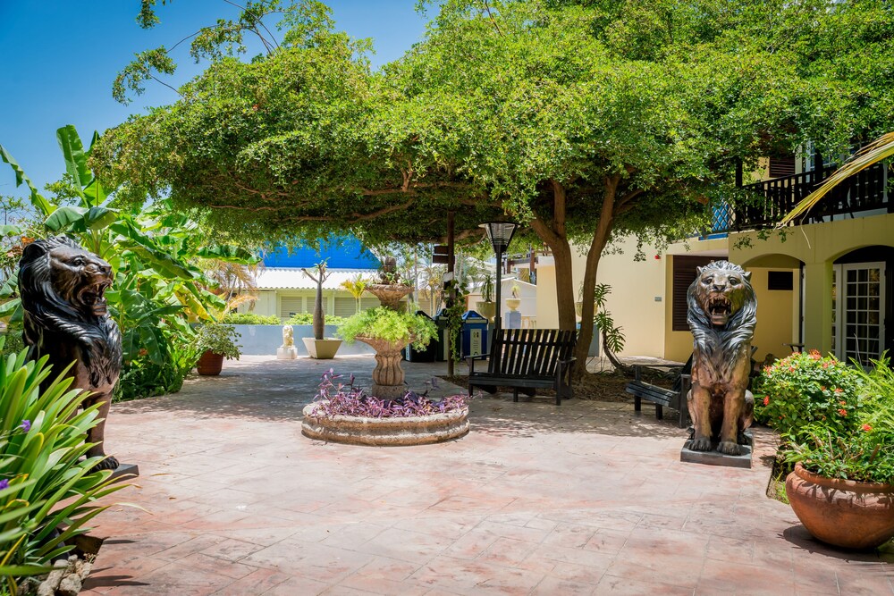 Garden, LionsDive Beach Resort