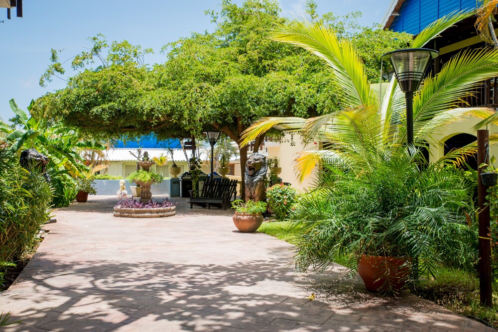 Property grounds, LionsDive Beach Resort