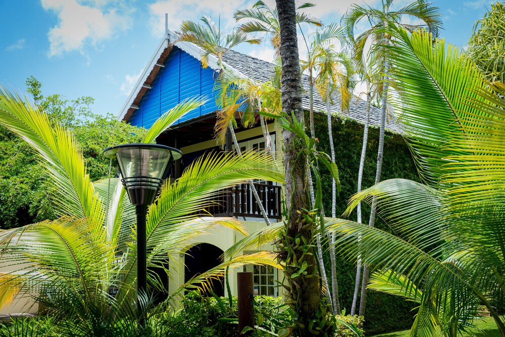 Room, LionsDive Beach Resort