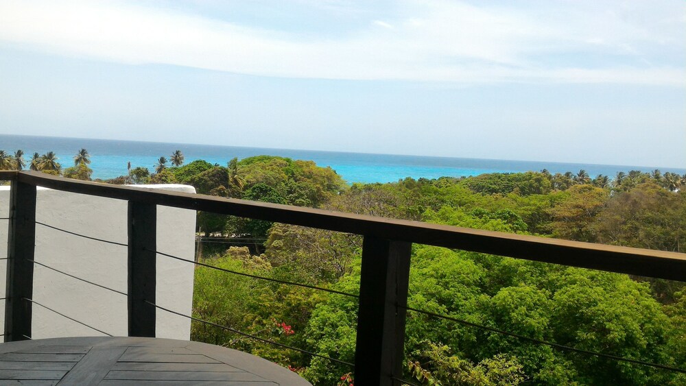 Guestroom View