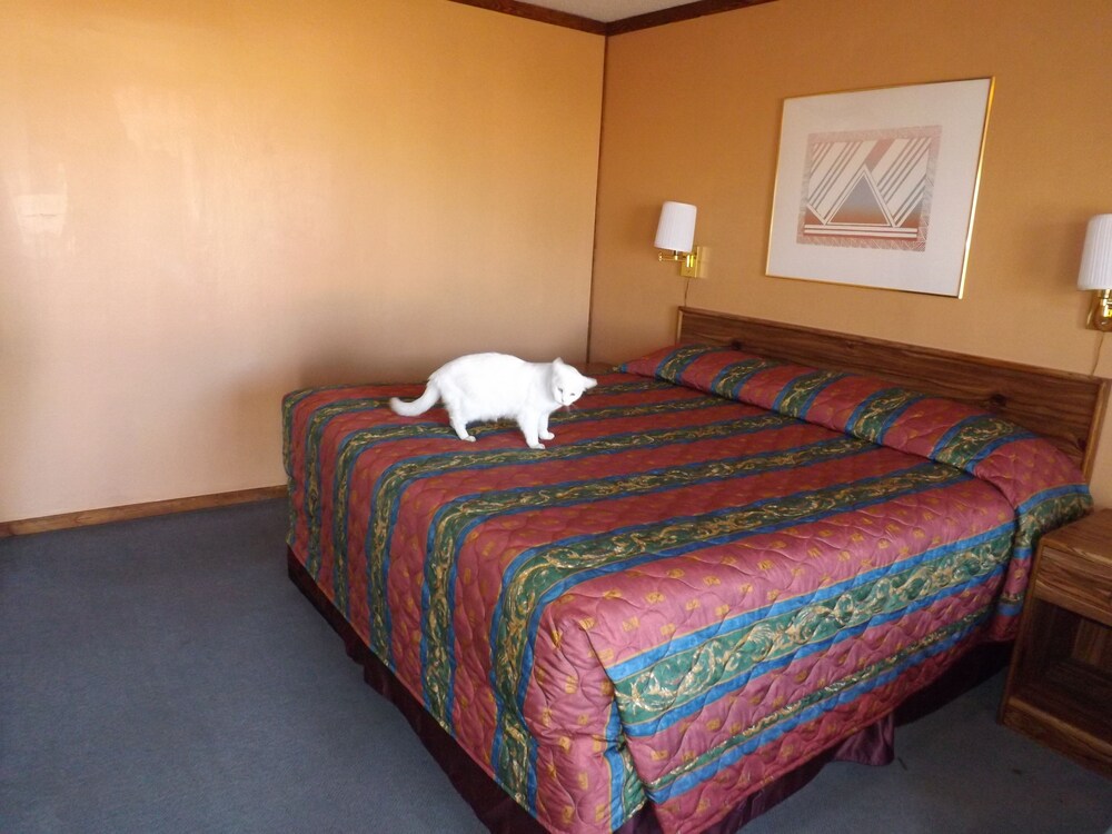 Guestroom View