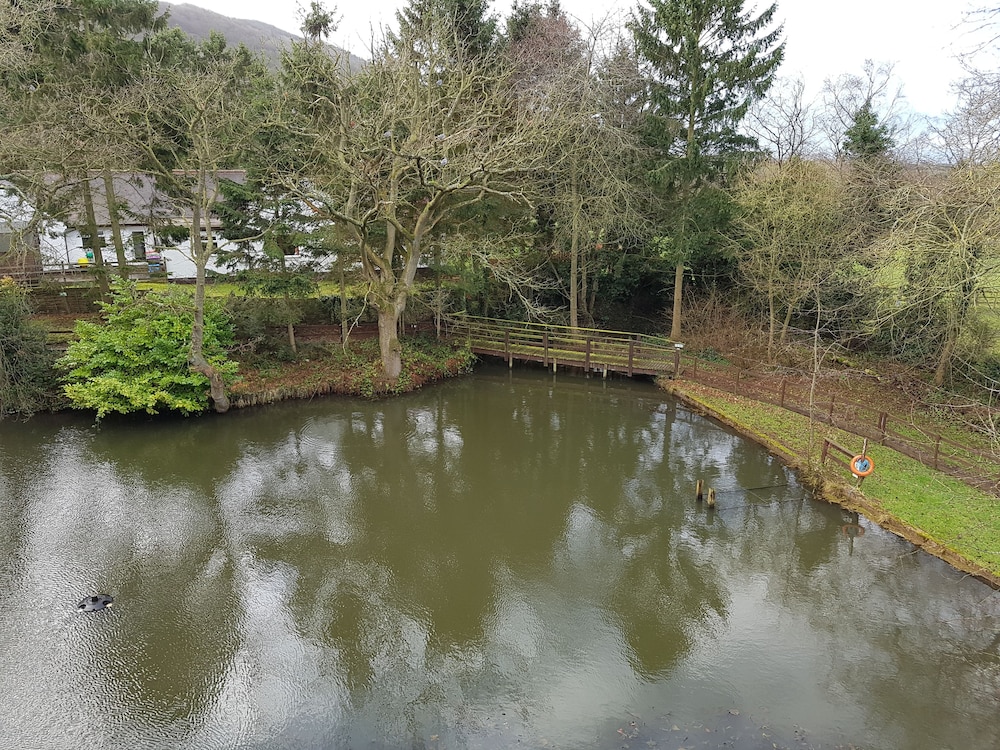 Guestroom View