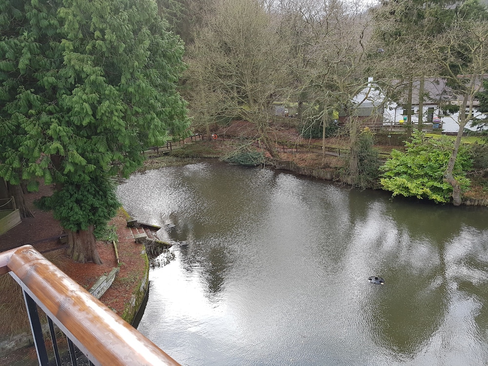 Guestroom View